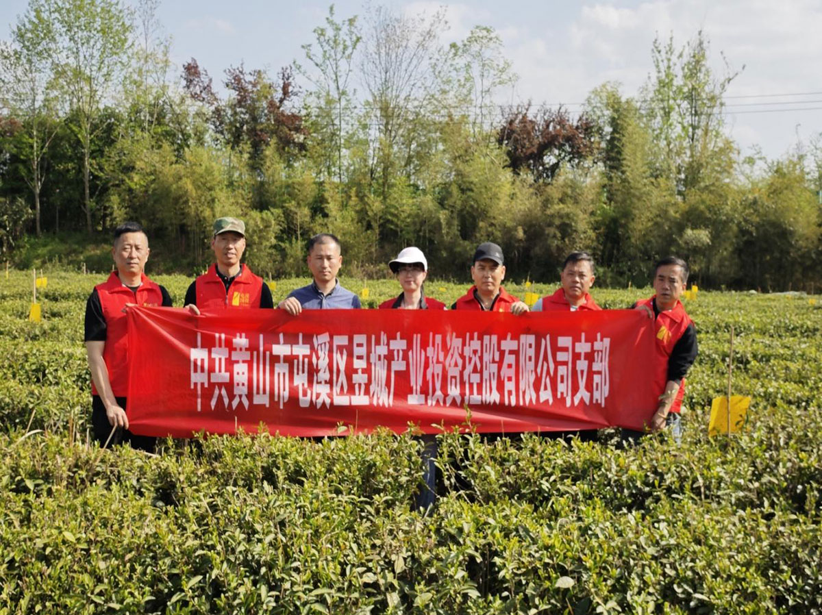 昱城產(chǎn)投公司黨支部開展“茶香潤(rùn)初心，黨旗映茶園”主題黨日活動(dòng)